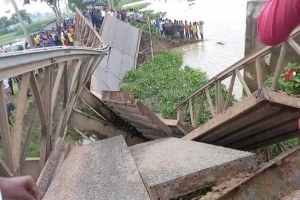 বেইলি ব্রিজের ছবি